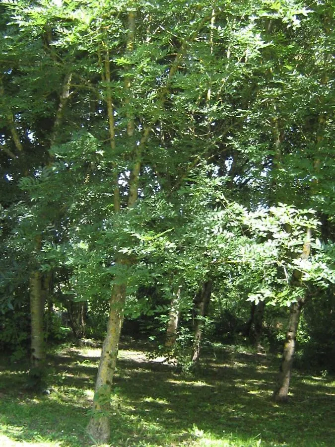 La villa Le Petit Bois, près Rocamadour, Padirac Lavergne