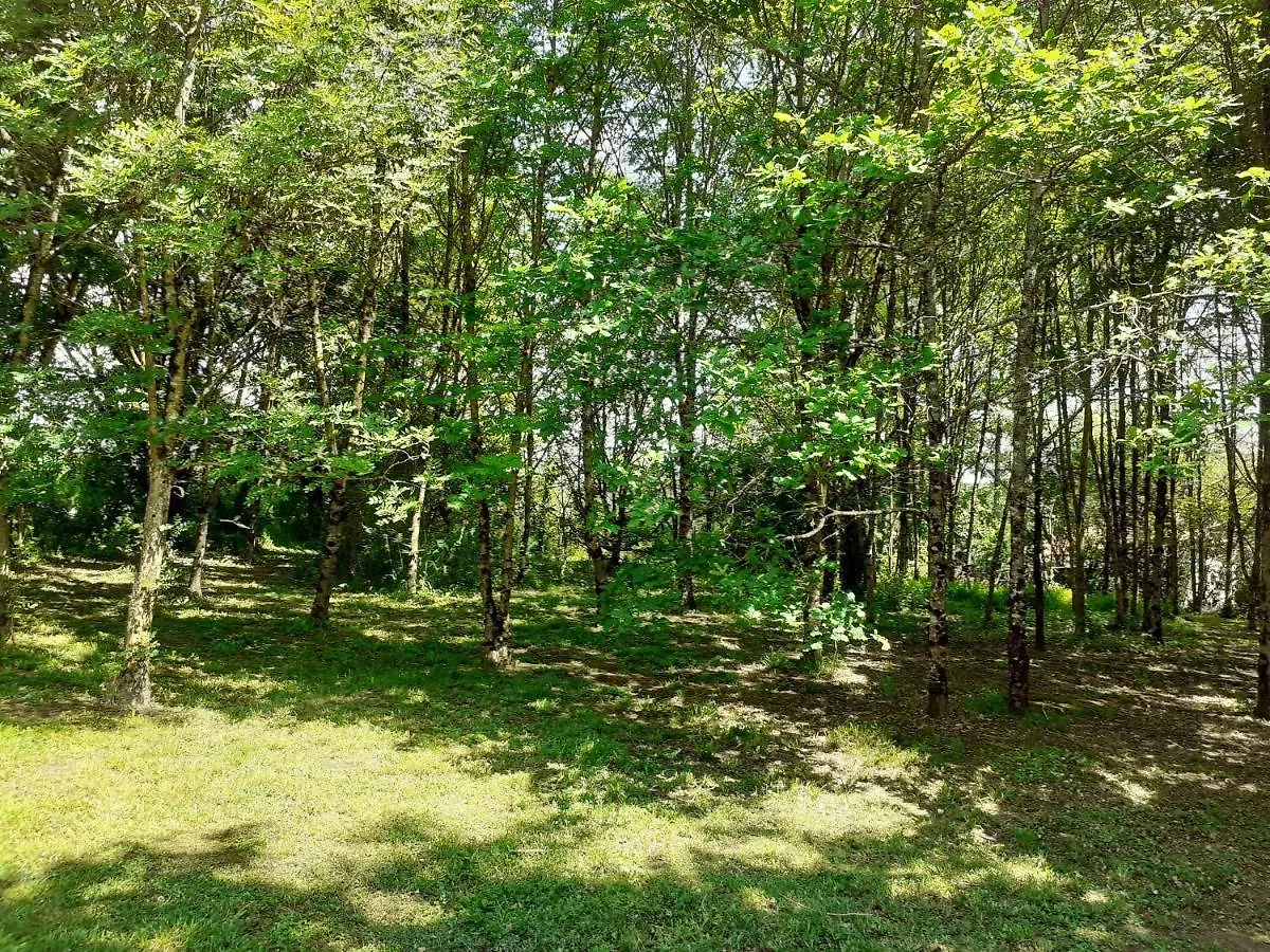La villa Le Petit Bois, près Rocamadour, Padirac Lavergne